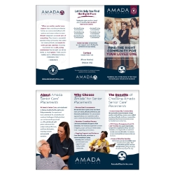 PLACEMENTS TRIFOLD BROCHURE (500) 