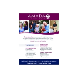 AMADA SERVICES FLYER (500) 